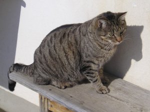 Grosses bild anzeigen 060306-1 113.jpg